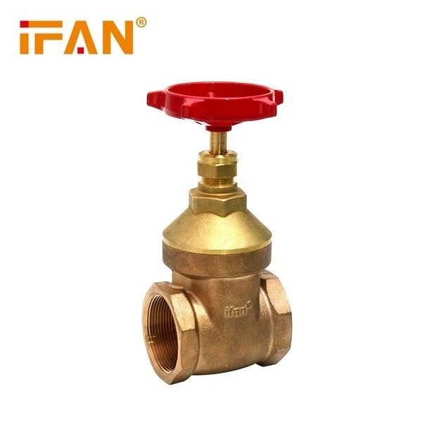 2 Inch Brass Gate Valve