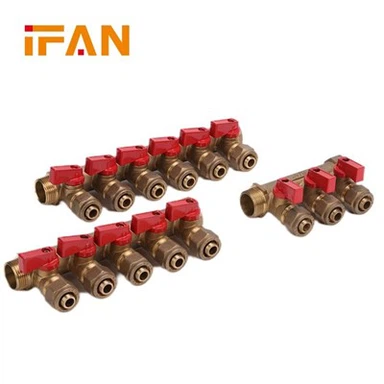 IFAN Brass Manifold